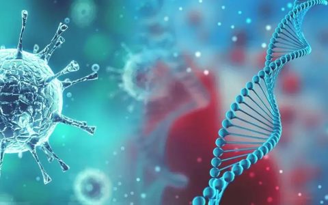 除了人以外，新冠病毒已经找到多种动物宿主