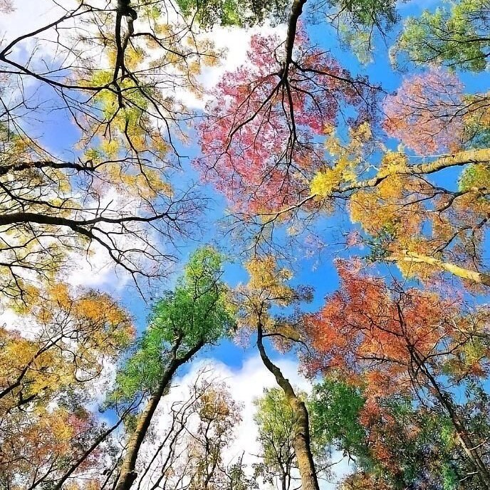 更适合春天的朋友圈封面，朋友圈背景图春天唯美
