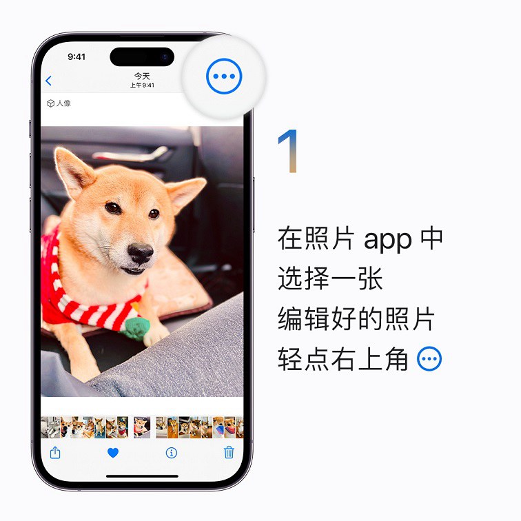 iphone怎么批量编辑照片？ios16快速批量编辑照片操作教程