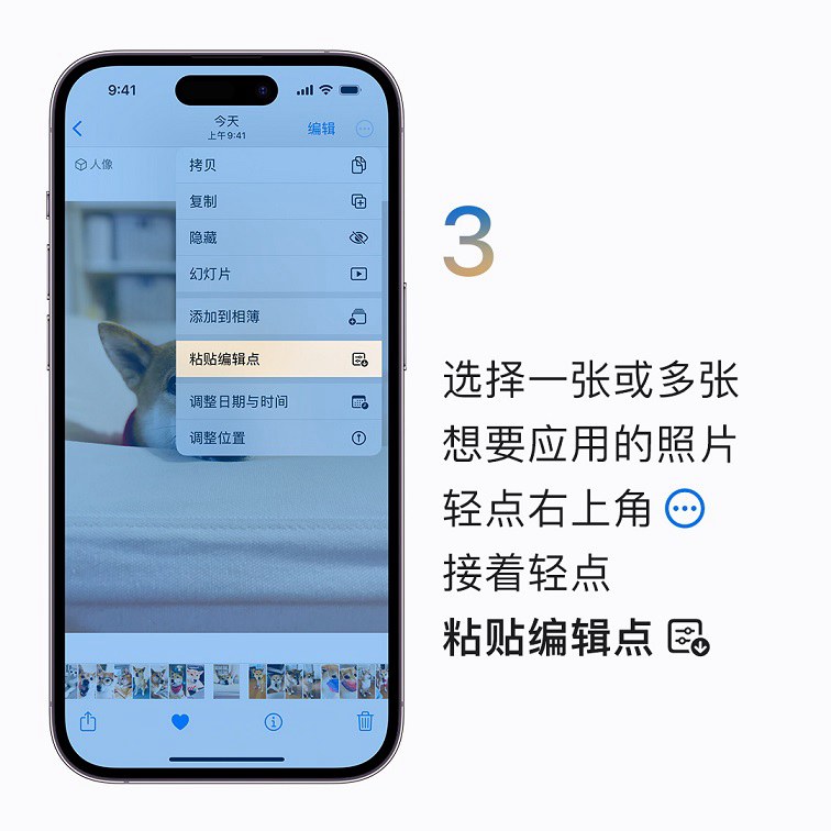 iphone怎么批量编辑照片？ios16快速批量编辑照片操作教程