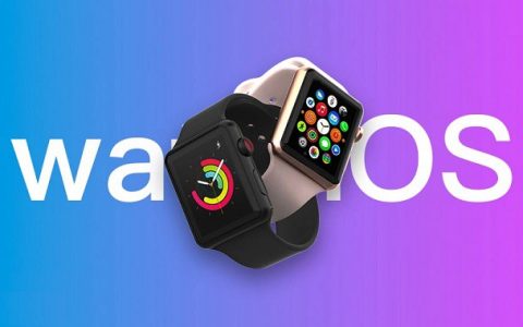watchos 9.5 beta2发布 版本号为20t5538d