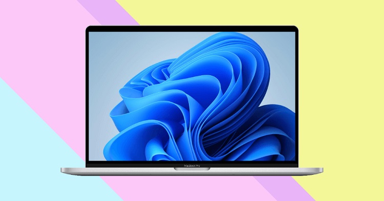 windows 11网页版来了 无需安装升级 人人都能体验win11